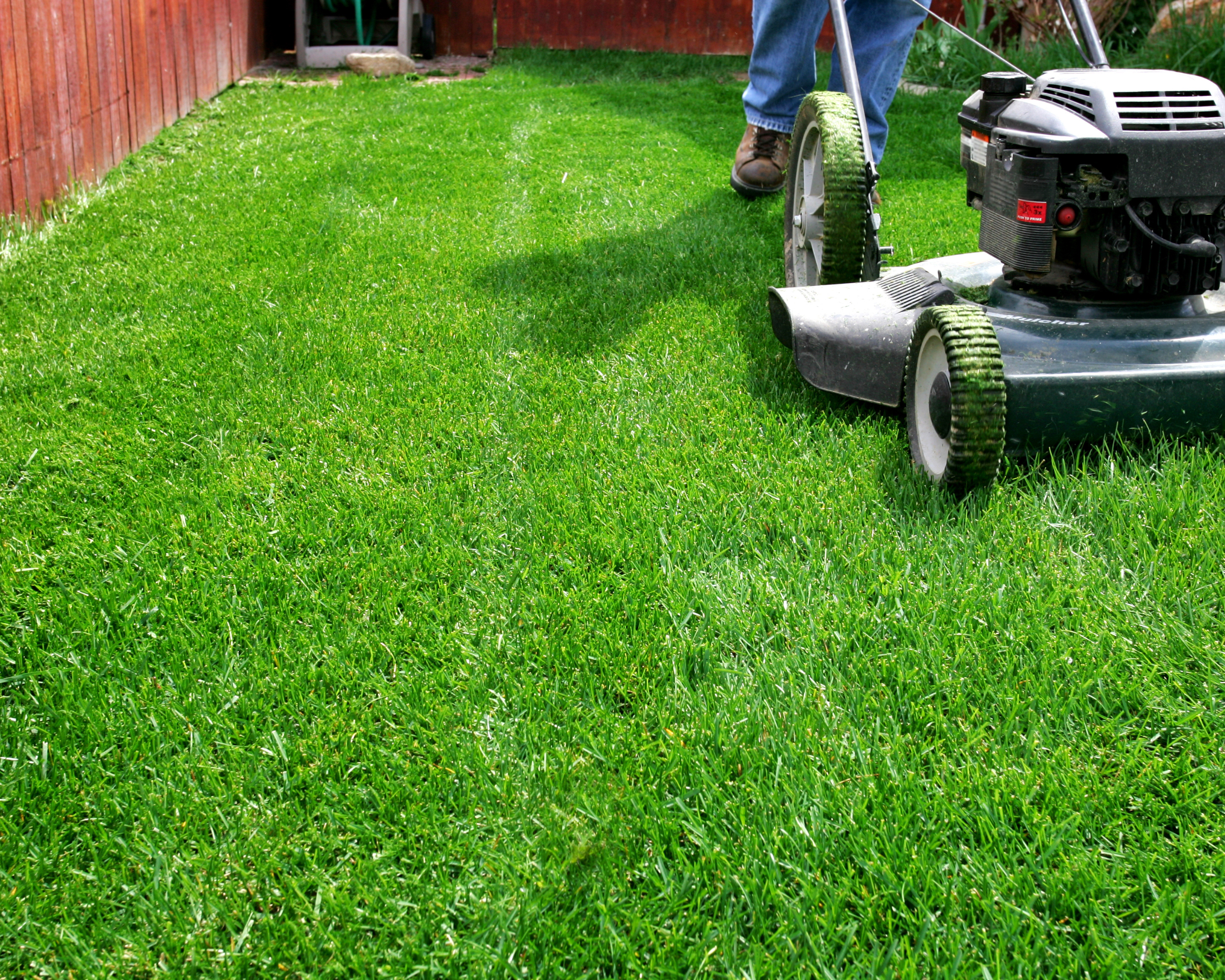 take care of your lawn