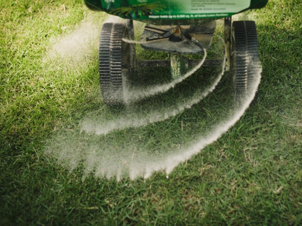 fertilize your lawn